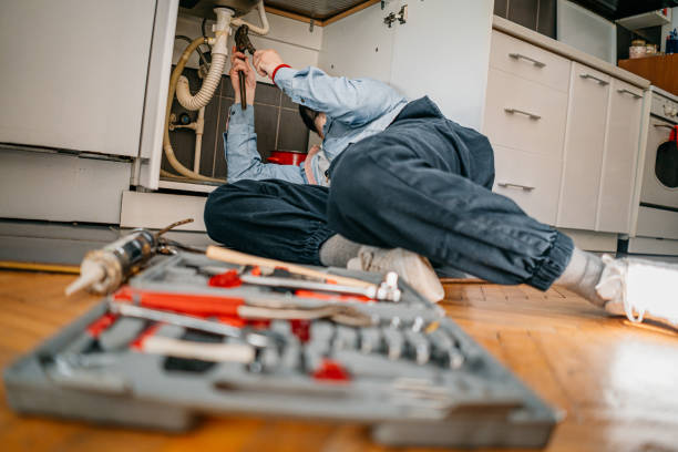 Best Local Plumber Services  in Chena Ridge, AK