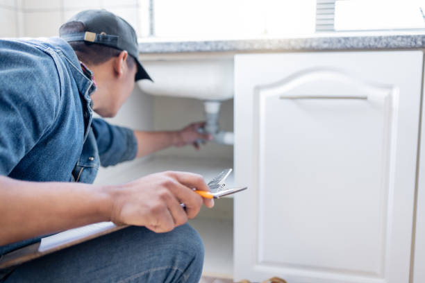 Best Plumbing Inspection Services  in Chena Ridge, AK